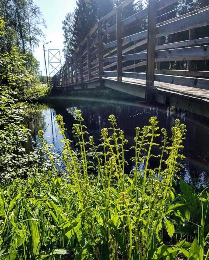Mysig Timmerstuga Med Braskamin Naera Hovfjaellet Torsby Exterior foto
