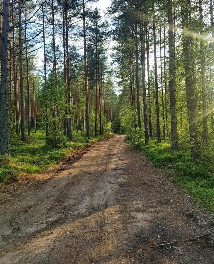 Mysig Timmerstuga Med Braskamin Naera Hovfjaellet Torsby Exterior foto